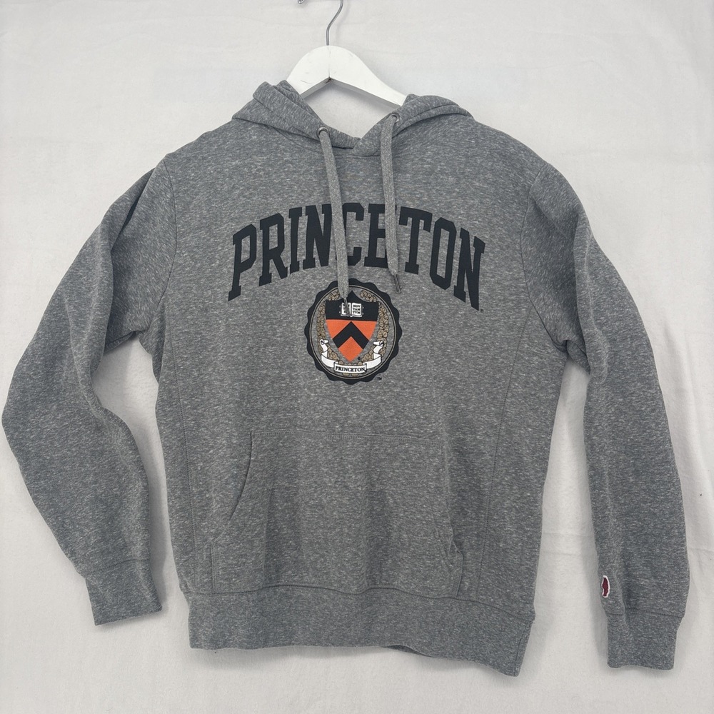 Princeton Sweatshirt Mens Small Gray Pullover Hoodie University Soft